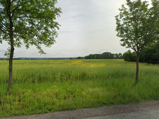 Grundstück zum Kauf provisionsfrei 100.489 m² Grundstück frei ab sofort Mittelbach Chemnitz 09224