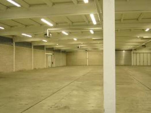 Lagerhalle zur Miete 3.000 € 500 m² Lagerfläche Hockenheim 68766