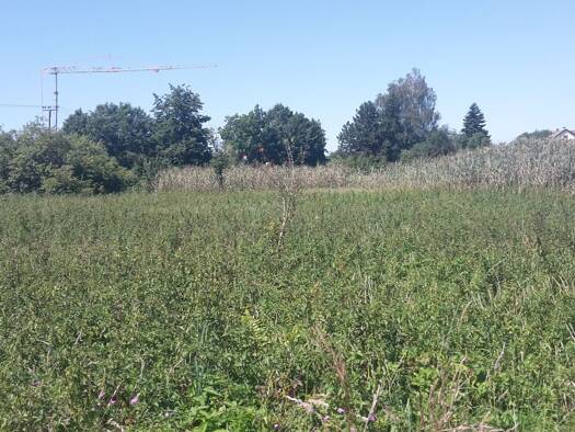 Land-/Forstwirtschaft zum Kauf 2,50 € 5.883 m² Obergessertshausen Aichen 86479