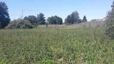 Land-/Forstwirtschaft zum Kauf 6 € 5.883 m² Obergessertshausen Aichen 86479