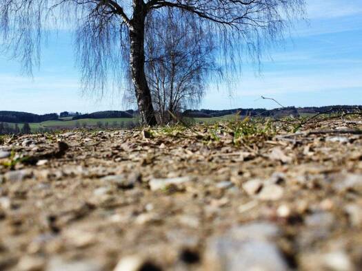 Landwirtschaftliche Fläche zum Kauf 32.730 m² Grundstück Ried Kammelthal 89358