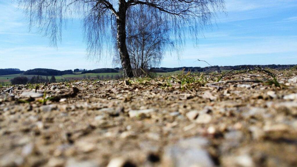 Landwirtschaftliche Fläche zum Kauf 32.730 m² Grundstück Ried Kammelthal 89358
