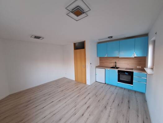 Wohnung zur Miete 450 € 1 Zimmer 25 m² frei ab sofort Unterlenningen Lenningen 73252