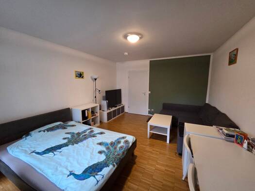 Wohnung zur Miete 390 € 1 Zimmer 28 m² Geschoss EG/13 frei ab 01.03.2026 Norikerstraße 19 Tullnau Nürnberg 90402