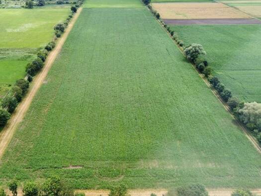 Land-/Forstwirtschaft zum Kauf 2.500.000 € 109.680 m² Grundstück Ismaning Ismaning 85737