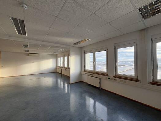 Bürofläche zur Miete 10,50 € 46,9 m² Bürofläche Wiener Neudorf 2351