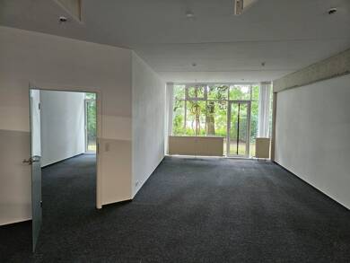 Bürokomplex zur Miete provisionsfrei 2,5 Zimmer 60 m² Bürofläche Bad Meinberger Str. 1 Diestelbruch Detmold 32760