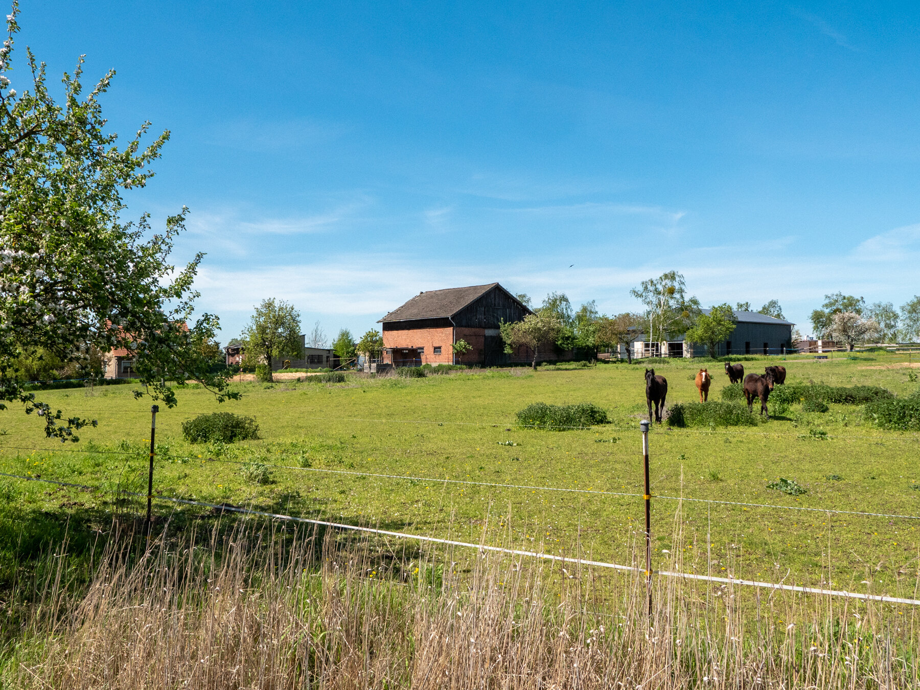 Immobilie zum Kauf 799.000 € 49.880 m²<br/>Grundstück Wustermark Wustermark 14641