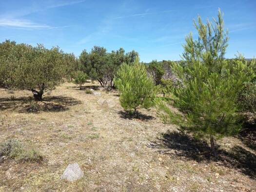 Acker-/Waldstück zum Kauf 45.000 € Brodarica, Šibenik - Okolica Šibenik 22000