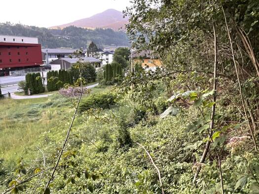 Grundstück zum Kauf 1.700.000 € 10.055 m² Grundstück Bischofshofen 5500