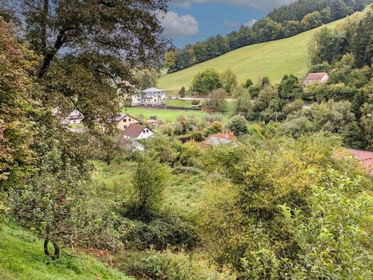 Grundstück zum Kauf provisionsfrei 49.500 € 1.031 m² Grundstück Gammelsbach Oberzent 64760