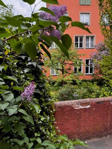 Haus zum Kauf 279.700 € 3 Zimmer 91 m² 74 m² Grundstück frei ab sofort Dinkelsbühl Dinkelsbühl 91550