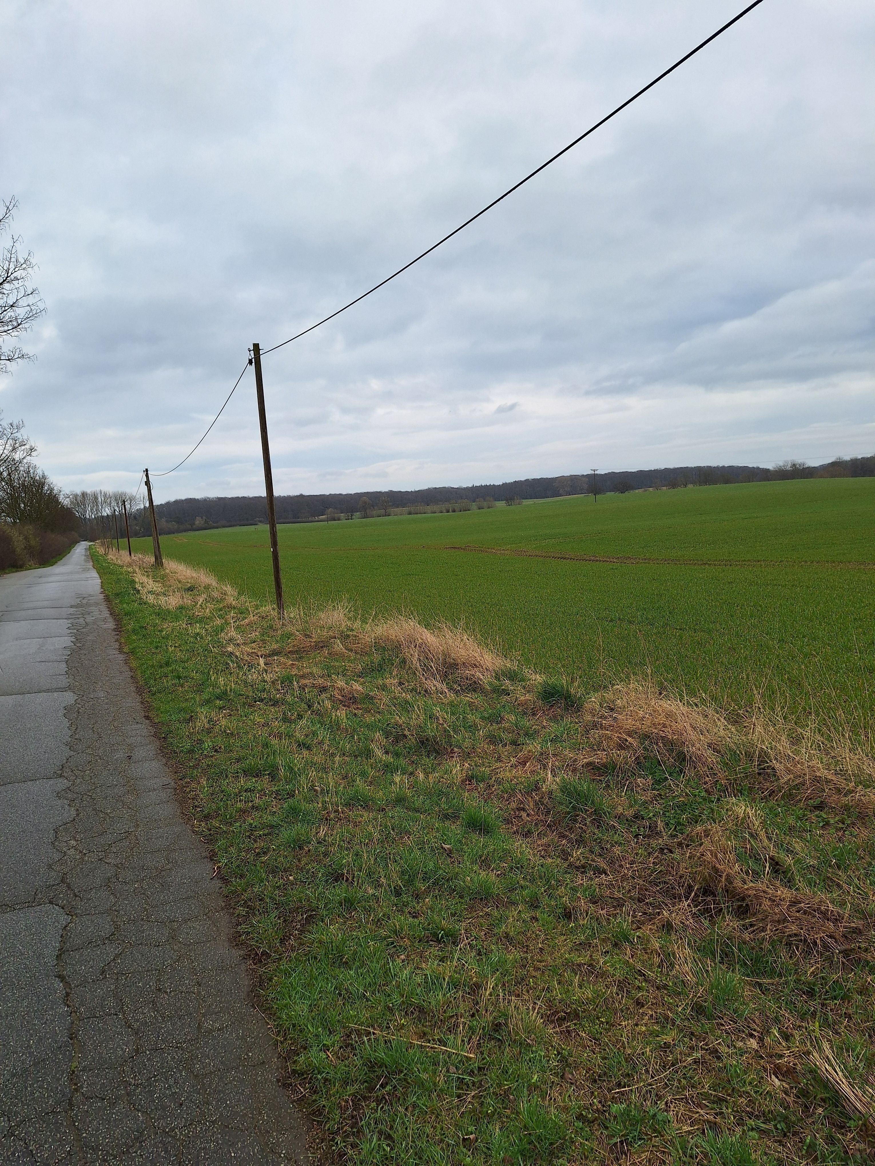 Landwirtschaftliche Fläche zum Kauf provisionsfrei 30.000 m²<br/>Grundstück Innenstadt Wilhelmshaven 26382