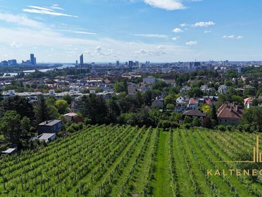 Grundstück zum Kauf 2.490.000 € 981 m² Grundstück Döbling 1190