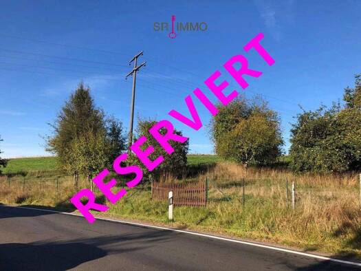 Grundstück zum Kauf 20.000 € 3.515 m² Grundstück Obergeckler 54675