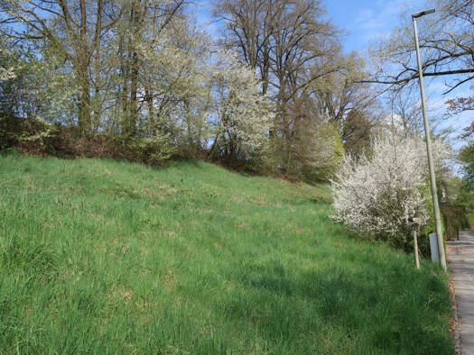 Grundstück zum Kauf 449.000 € 1.205 m² Grundstück Vilsbiburg Vilsbiburg 84137