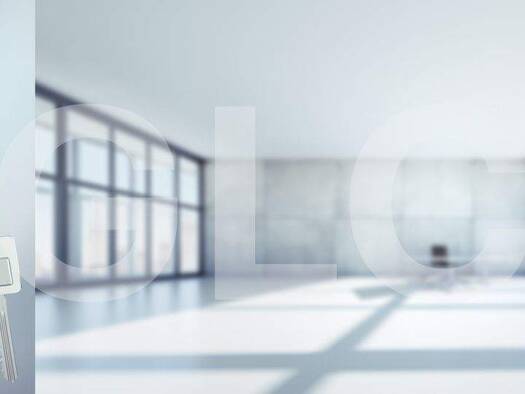 Gewerbeobjekt zum Kauf als Kapitalanlage geeignet 3.000 m² Altstadt Halle (Saale) 06108