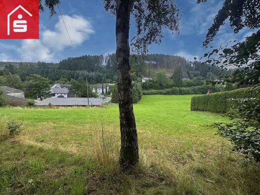 Grundstück zum Kauf 80.000 € 1.145 m² Grundstück Cobbenrode Eslohe 59889