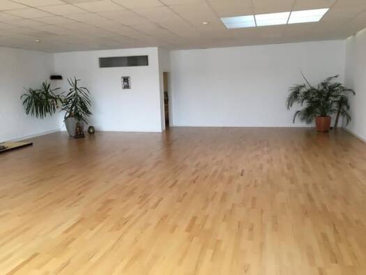 Büro zur Miete provisionsfrei 1.850 € 1 Zimmer 217 m² Bürofläche Schneckenburgstraße Petershausen Konstanz 78467