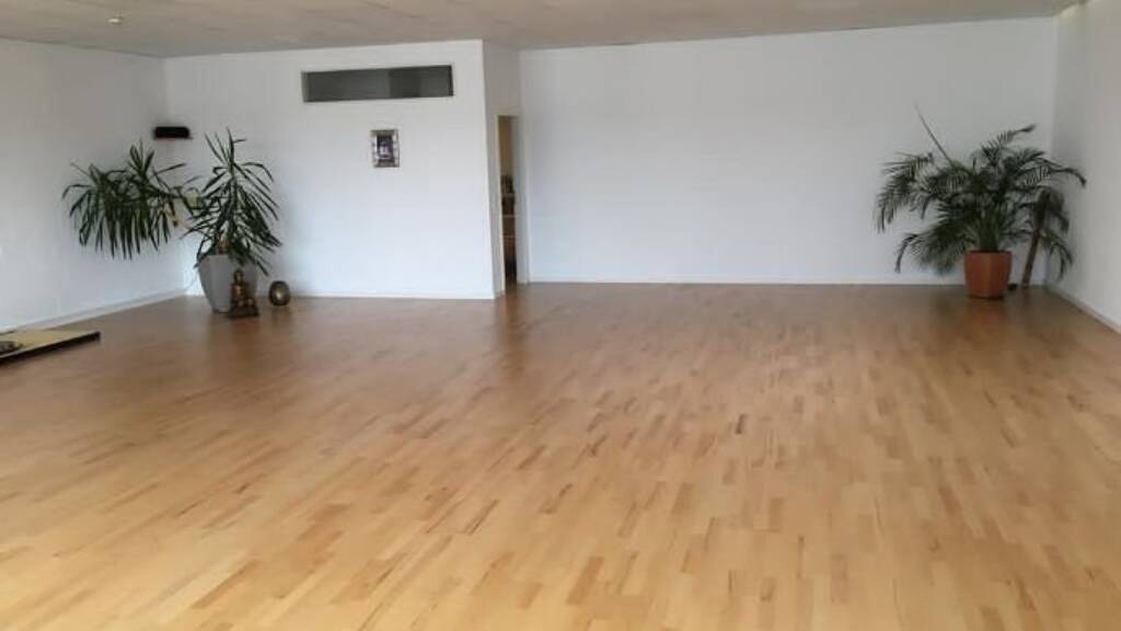 Büro zur Miete provisionsfrei 1.850 € 1 Zimmer 217 m² Bürofläche Petershausen Konstanz 78467