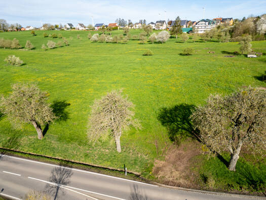 Grundstück zum Kauf 128.700 € 858 m² Grundstück Nusbaum 54675