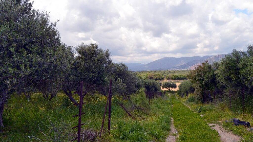 Land-/Forstwirtschaft zum Kauf 765.000 € 4.500 m² Grundstück Kreta