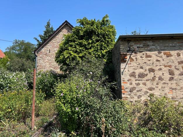 Einfamilienhaus zum Kauf 45.000 € 2 Zimmer 48,1 m² 569 m² Grundstück frei ab sofort Friedrichsschwerz Wettin-Löbejün 06193