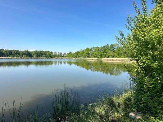 Sonstiges zum Kauf als Kapitalanlage geeignet 845.000 € 3.845 m² Gutershofen Attenweiler 88448