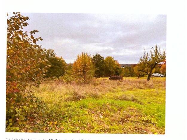 Grundstück zum Kauf provisionsfrei 312.000 € 867 m² Grundstück F.-J.-Schellenberger-Straße Erlenbach Erlenbach a.Main 63906