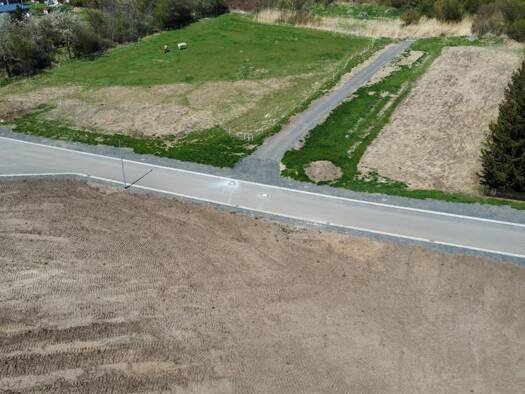 Grundstück zum Kauf 70.500 € 1.175 m² Grundstück Benndorf 06308