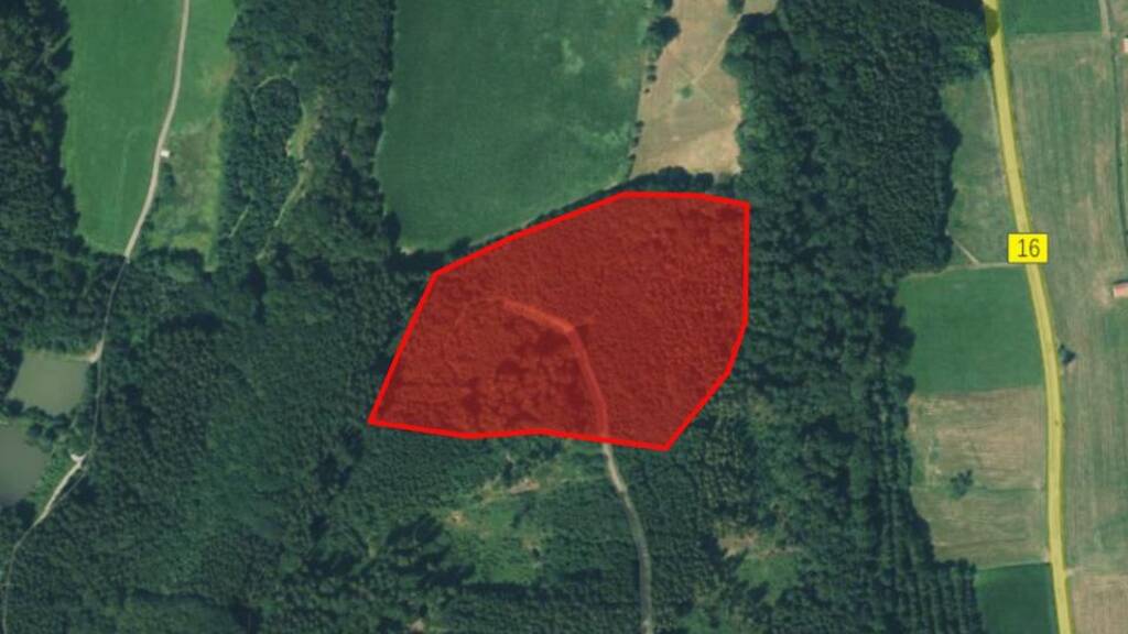 Land-/Forstwirtschaft zum Kauf 221.800 € 31.695 m² Lauchdorf Baisweil 87650