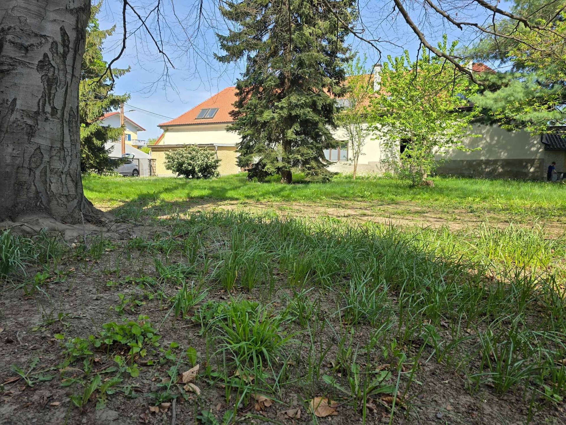 Grundstück zum Kauf 495.000 € 1.000 m²<br/>Grundstück Liebenau Graz 8041