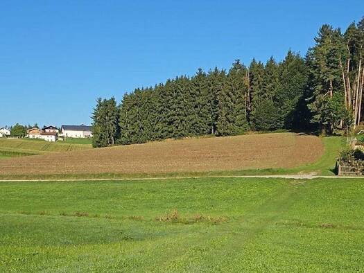 Landwirtschaftliche Fläche zum Kauf 215.000 € 39.387 m² Grundstück Geiselloh Pleiskirchen 84568