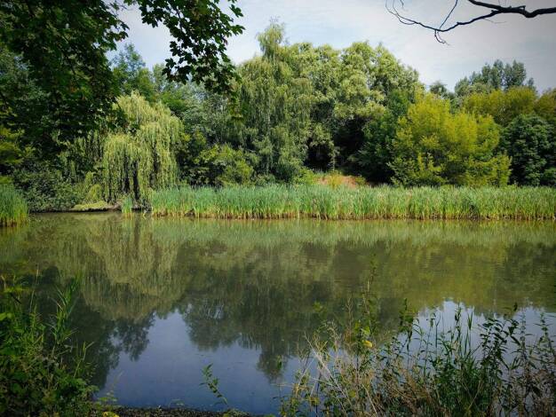 Wohnung zum Kauf 699.000 € 4 Zimmer 113 m² 3. Geschoss frei ab 30.06.2026 Friedrichsfelde Berlin 10315