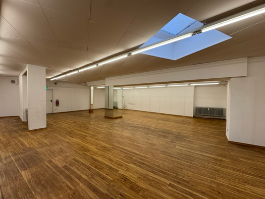 Immobilie zum Kauf 1.000.000 € 20 Zimmer 700 m² 500 m² Grundstück frei ab sofort Dingolfing 84130