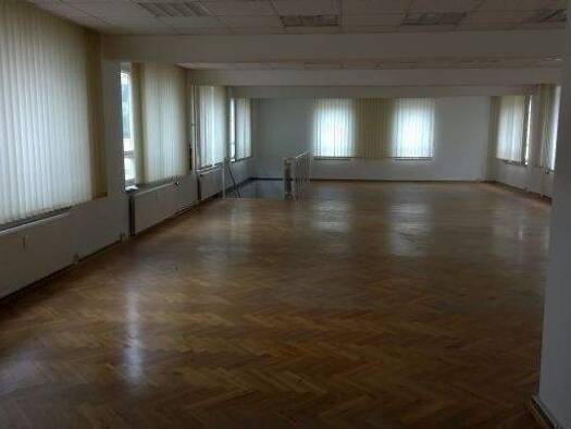 Ausstellungsfläche zur Miete provisionsfrei 740 € Göltzschtalstr. 36 Auerbach 08209