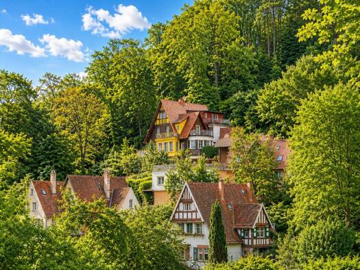Villa zum Kauf 3.100.000 € 10 Zimmer 399 m² 8.416 m² Grundstück Altstadt Heidelberg 69117