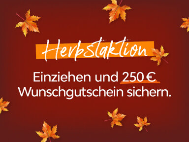 Wohnung zur Miete 260 € 1 Zimmer 37 m² EG frei ab 15.12.2024 Tschirchdamm 1 Hohenstücken Brandenburg an der Havel 14772