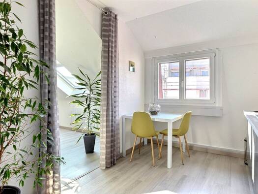 Wohnung zum Kauf provisionsfrei 194.000 € 2 Zimmer 47,9 m² 5 Geschosse frei ab sofort Avenue de Bâle Sud Est Saint-Louis 68300