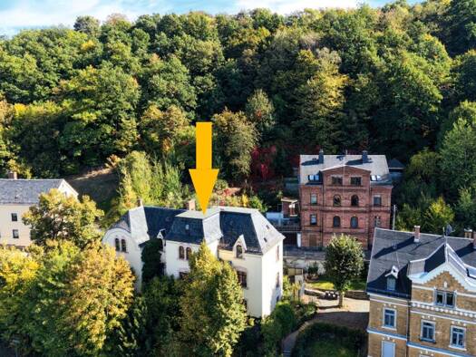 Mehrfamilienhaus zum Kauf 12.000 € 1 Zimmer 323 m² 4.669 m² Grundstück Greiz Greiz 07973