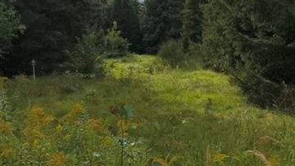 Grundstück zum Kauf 695.000 € 1.500 m² Grundstück Teltow 14513