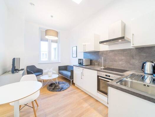 Studio zur Miete 420 € 1 Zimmer 27 m² 1. Geschoss frei ab sofort Pestalozzistraße 18 Seeleinsbühl Nürnberg 90429
