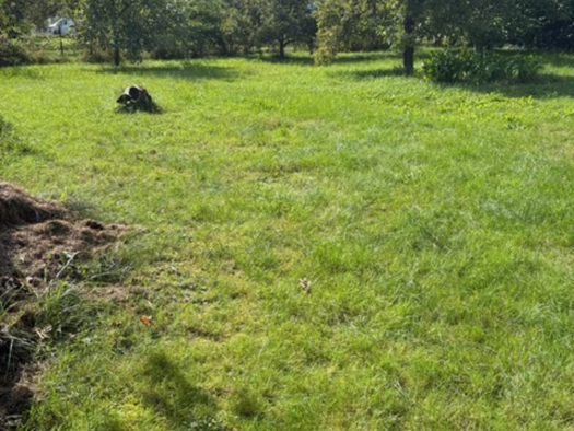 Grundstück zum Kauf 330.000 € 601 m² Grundstück Leipheim 89340