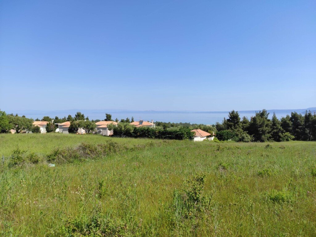 Land-/Forstwirtschaft zum Kauf 340.000 € 4.218 m²<br/>Grundstück Chalkidiki