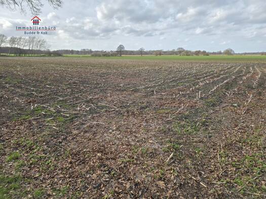 Land-/Forstwirtschaft zum Kauf 55.980 € 5.598 m² Grundstück Mehrenkamp Friesoythe 26169