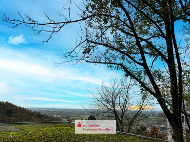 Grundstück zum Kauf 475.000 € 839 m² Grundstück Schriesheim Schriesheim 69198