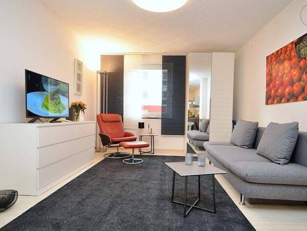 Studio zur Miete auf Zeit 830 € 1 Zimmer 39 m² frei ab sofort Gärten b Wöhrd Nürnberg 90489