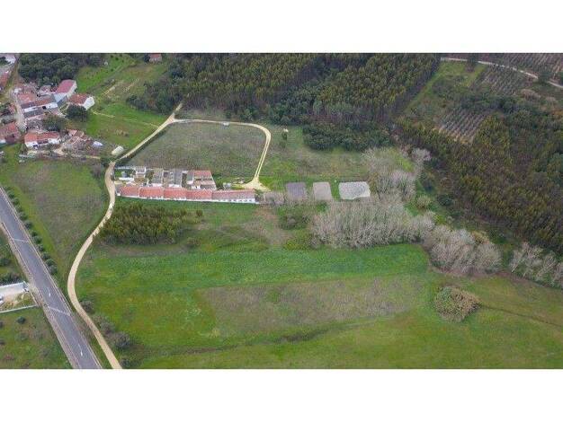 Grundstück zum Kauf 65.000 € 20.560 m² Grundstück Rio Maior