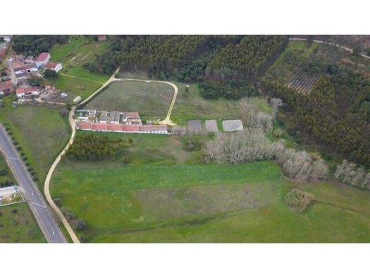 Grundstück zum Kauf 65.000 € 20.560 m² Grundstück Rio Maior