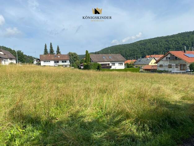Grundstück zum Kauf provisionsfrei 50.000 € 488 m² Grundstück Gauselfingen Burladingen 72393